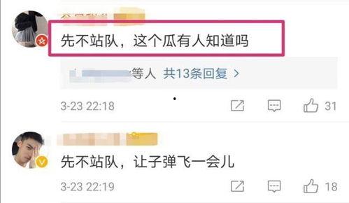 娱乐吃瓜不站队,吃瓜群众不站队，揭秘幕后真相