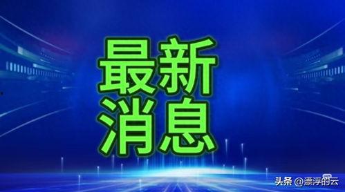 桂林爆料今天新闻报道,聚焦今日热点新闻事件
